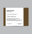 modern certificate template vector image