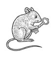 mouse with key sketch vector image