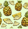 pineapple seamless pattern exotic summer fruit vector image vector image