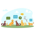 cute dog with speech bubble vector image