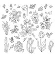 flowers collection set design for greeting card vector image