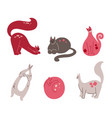 set of cute pink cats with star and flower vector image