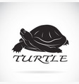 a turtle on white background reptile animal vector image vector image