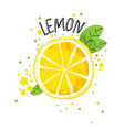 hand draw lemon half vector image