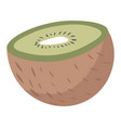 kiwi slice tropical and exotic fruits berries vector image