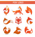 creative fox animal vector image