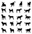 dogs vector image