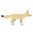 vulpes zerda - fennec fox - side view - flat vector image vector image