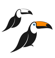 toucan vector image vector image