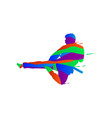 colorful splash martial art design vector image vector image