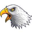 cartoon eagle head mascot vector image