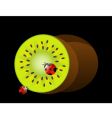 kiwifruit vector image