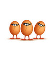 picture egg team vector image
