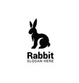 rabbit logo template isolated on white background vector image