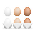 3d realistic aggs flat vector image