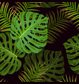 tropical palm leaves vector image