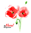 beautiful watercolor paint red poppy vector image vector image