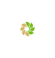circle leaf organic ornament logo vector image vector image