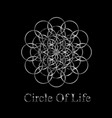 flower of life vector image