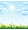 green grass field and blue sky vector image
