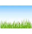 landscape vector image