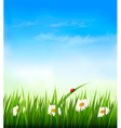 spring background with sky flowers grass vector image