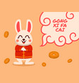 flat of cute chinese rabbit vector image vector image