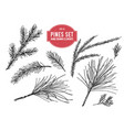 collection of hand drawn black and white vector image