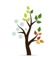 icons four seasons vector image