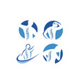 healthy spine can be used in chiropractic vector image vector image