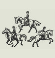 old press vintage style of women equestrian rider vector image