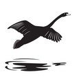 swan 2 vector image