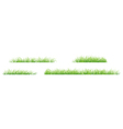 grass vector image