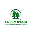 pine trees logo vector image vector image