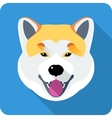 Dog akita inu japanese breed icon flat design Vector Image