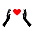 heart in hands silhouette on white background vector image