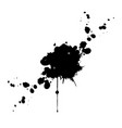 black splatter isolated design vector image vector image