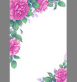elegant background with rose flowers vector image