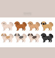 peekapoo clipart pekingese poodle mix different vector image vector image