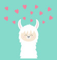 alpaca llama face neck pink hearts happy vector image vector image