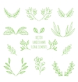 hand drawn floral elements vector image