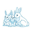 three white easter bunnies vector image