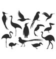 wild bird silhouette vector image vector image