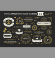 vintage typographic decorative ornament design vector image vector image