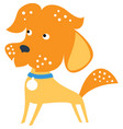 set funny mixed breed or mongrel dog vector image