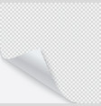 curled corner of paper with shadow vector image vector image