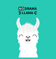 llama alpaca animal face neck tooth no drama cute vector image vector image