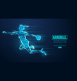 abstract silhouette a wireframe handball vector image