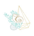 marine sea shell line art golden frame wreath vector image