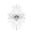 dead head moth vector image